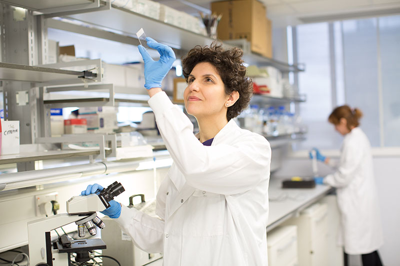 Dr Vicky Salem in lab