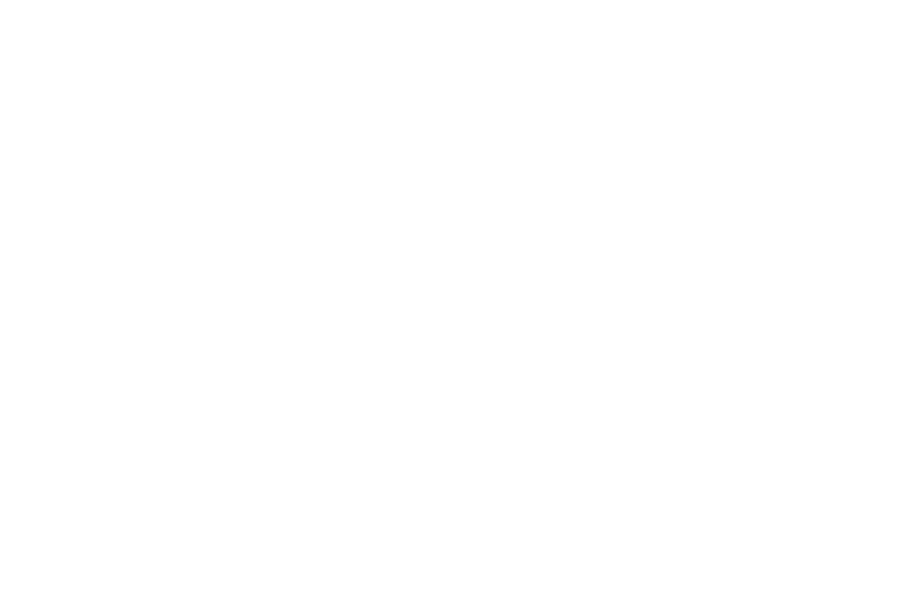 Steve Morgan Foundation logo