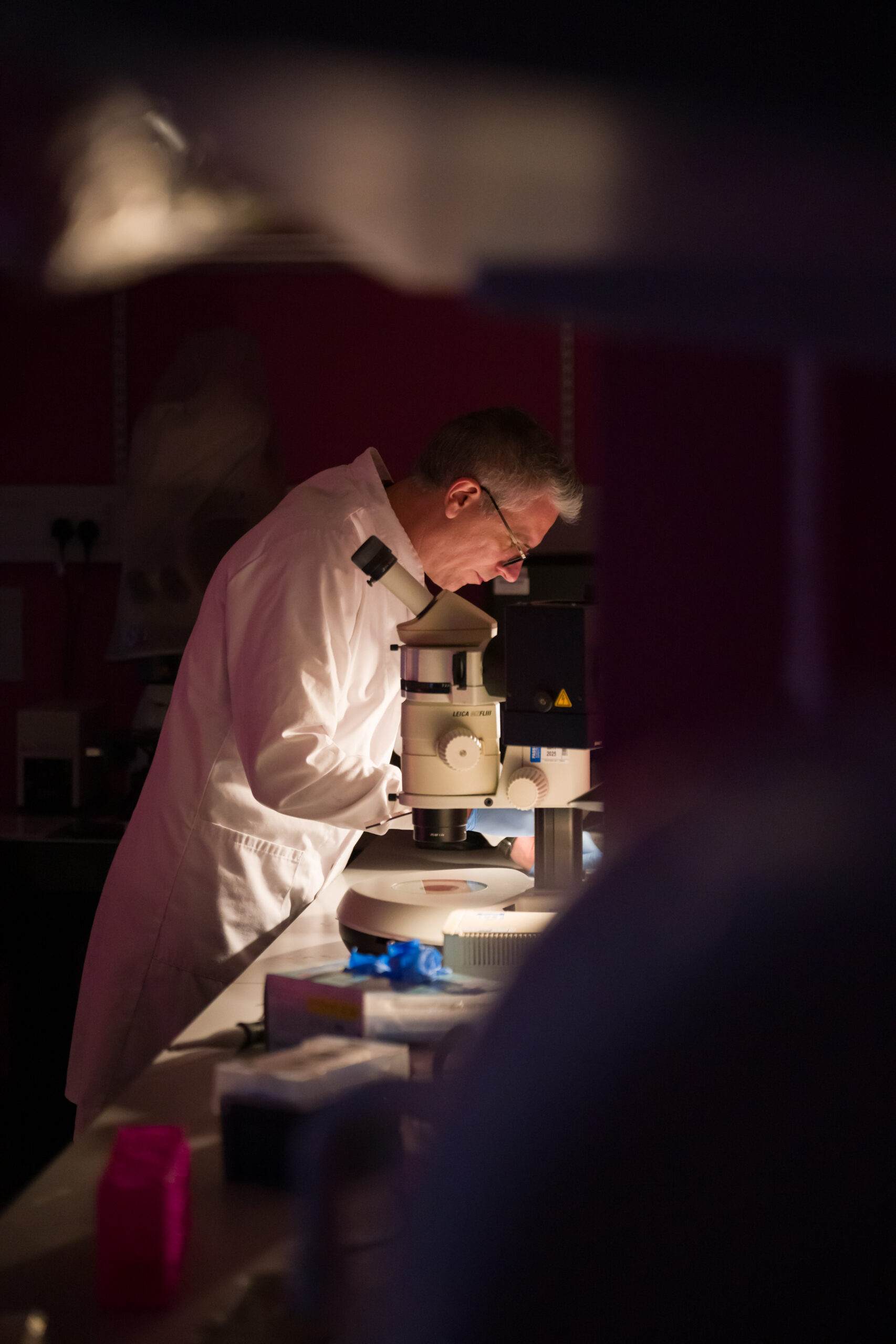 Researcher looking into microscope in lab